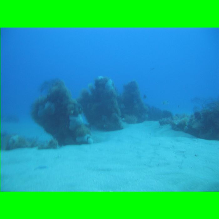 Dive WP Wrecks 25-Oct-09_365.JPG